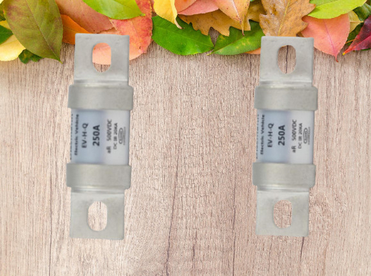 500VDC EV Charger Ceramic Automotive Fuses Bolt On Installation