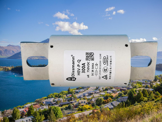 Designed For EV Charging Pile High Voltage Fuse , White Ceramic Fuse Use On ESS