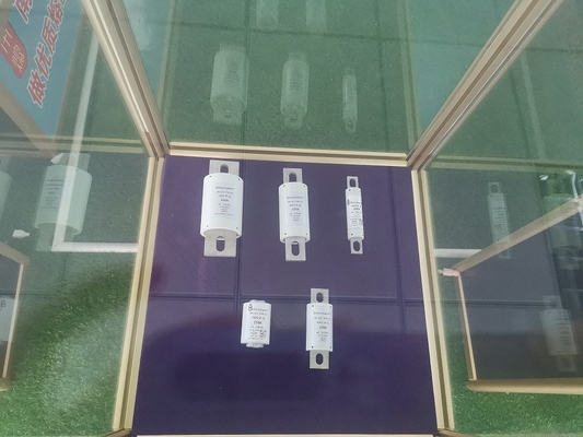 Bolt On High Voltage Automotive Fuse DC30KA DC 300 Amp HEV