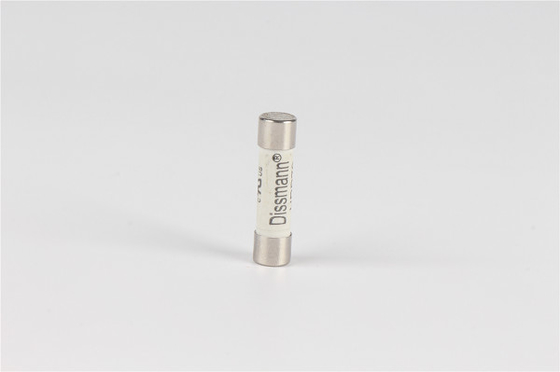 Telecommunication Ceramic Tube Fuse , Fast Acting 100 Amp 250v Fuse