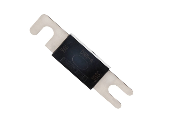 Time Lag 300 Amp Dc Fuse Low Breaking Capacity UL248-13 Standard