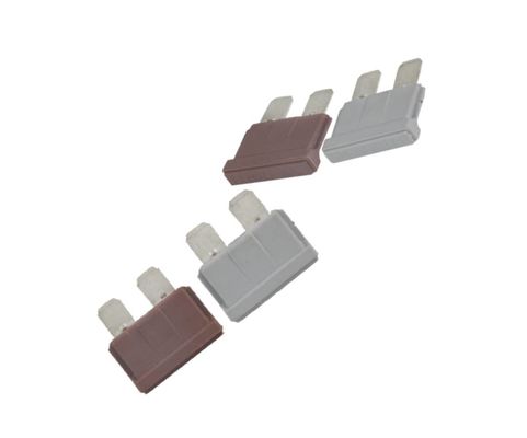 Ceramic 1 Amp Fast Blow Fuse 58VDC Rated Voltage UL248 Standard