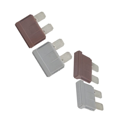 58V DC Low Voltage Fuses 1 Amp Rated Current: Fast Blow ROHs Standard