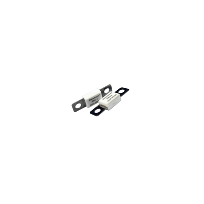 Ceramic 100 Amp Auto Fuse , 58VDC Low Breaking Capacity Fuse