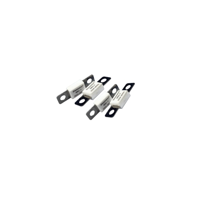 Ceramic 100 Amp Auto Fuse , 58VDC Low Breaking Capacity Fuse