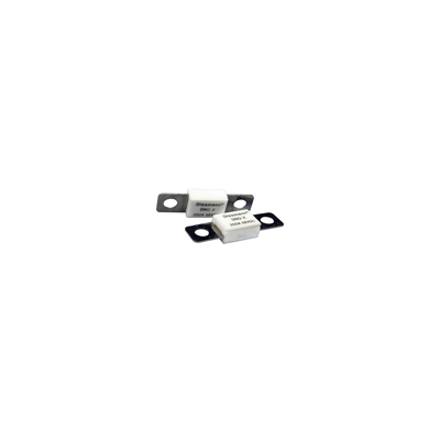 Ceramic 100 Amp Auto Fuse , 58VDC Low Breaking Capacity Fuse