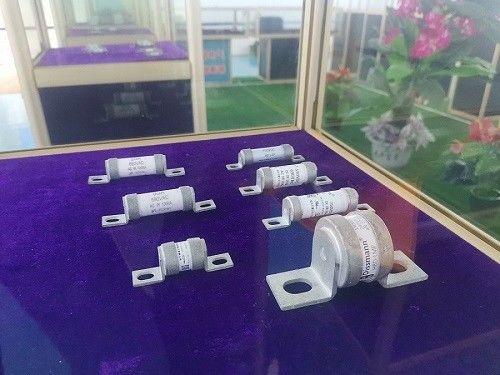 Hybrid EV DC20KA Ceramic Fuses DC750V Replacement UL Certified