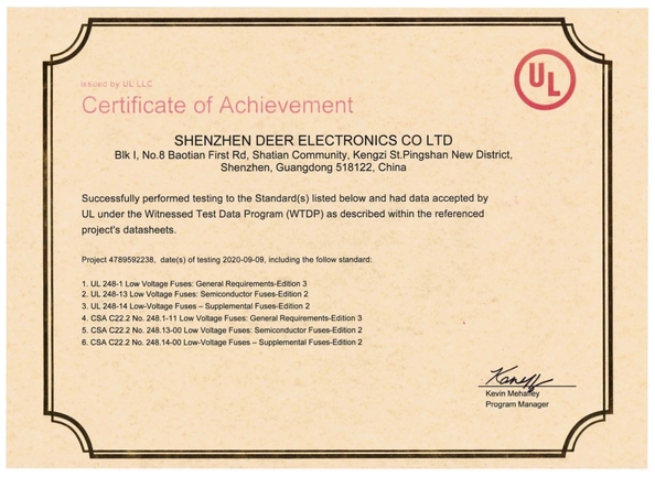 China Dissmann | Global Expert Fuse for EV | HEV | Photovoltaic | Battery | Energy Storage Solutions Certification