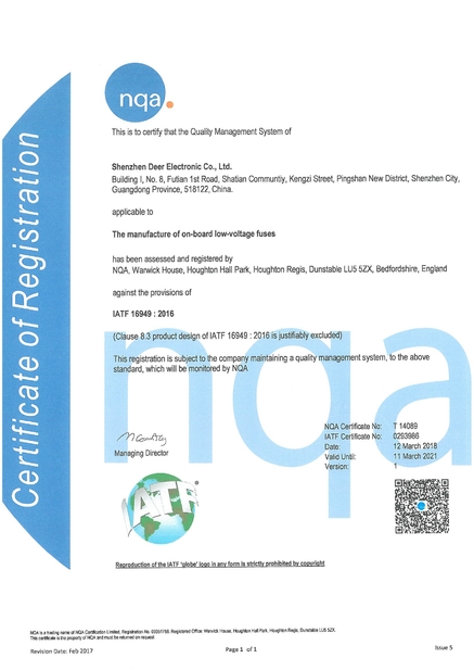 China Dissmann | Global Expert Fuse for EV | HEV | Photovoltaic | Battery | Energy Storage Solutions Certification
