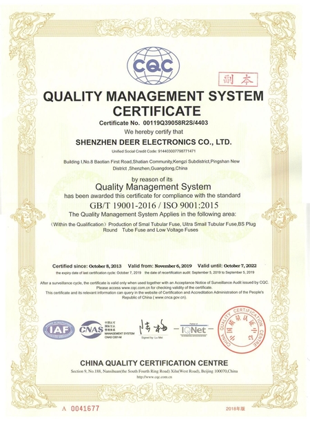 China Dissmann | Global Expert Fuse for EV | HEV | Photovoltaic | Battery | Energy Storage Solutions Certification
